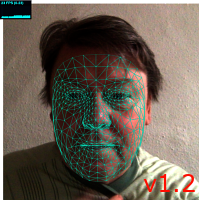 FaceMesh and Me